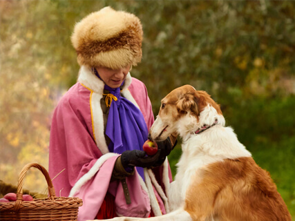 Царская охота с борзыми, фото 4.