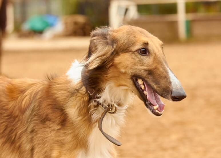 Отзыв 3, фото 1